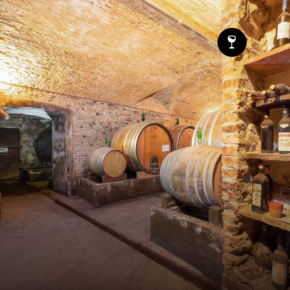 Castello di Oliveto - Degustazione classica